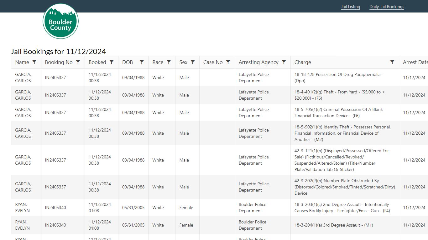 Jail Bookings for 11/9/2024 - sheriff.boco.solutions